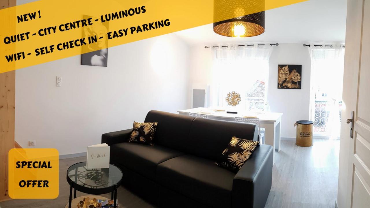 Les Nuits D'Anis - Appartements Hypercentre Le Puy-en-Velay Eksteriør bilde