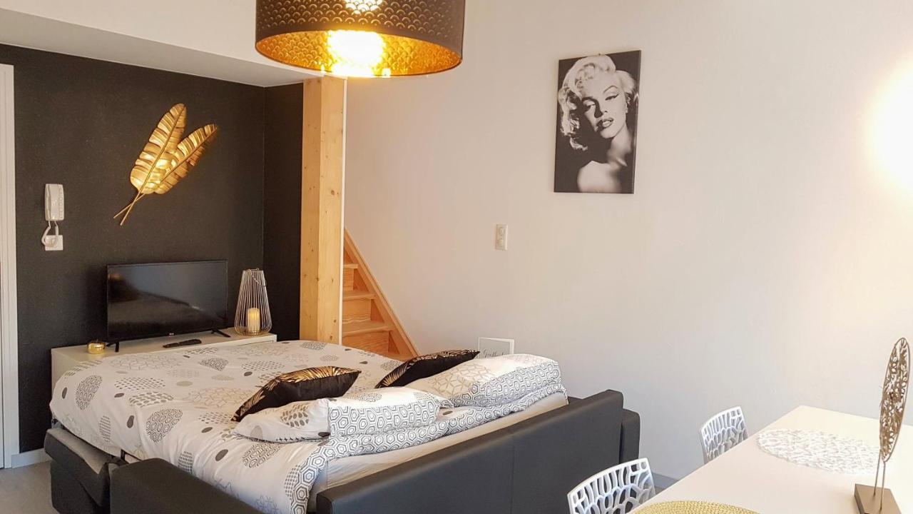 Les Nuits D'Anis - Appartements Hypercentre Le Puy-en-Velay Eksteriør bilde
