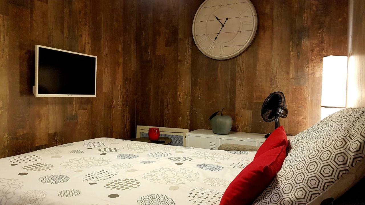 Les Nuits D'Anis - Appartements Hypercentre Le Puy-en-Velay Eksteriør bilde