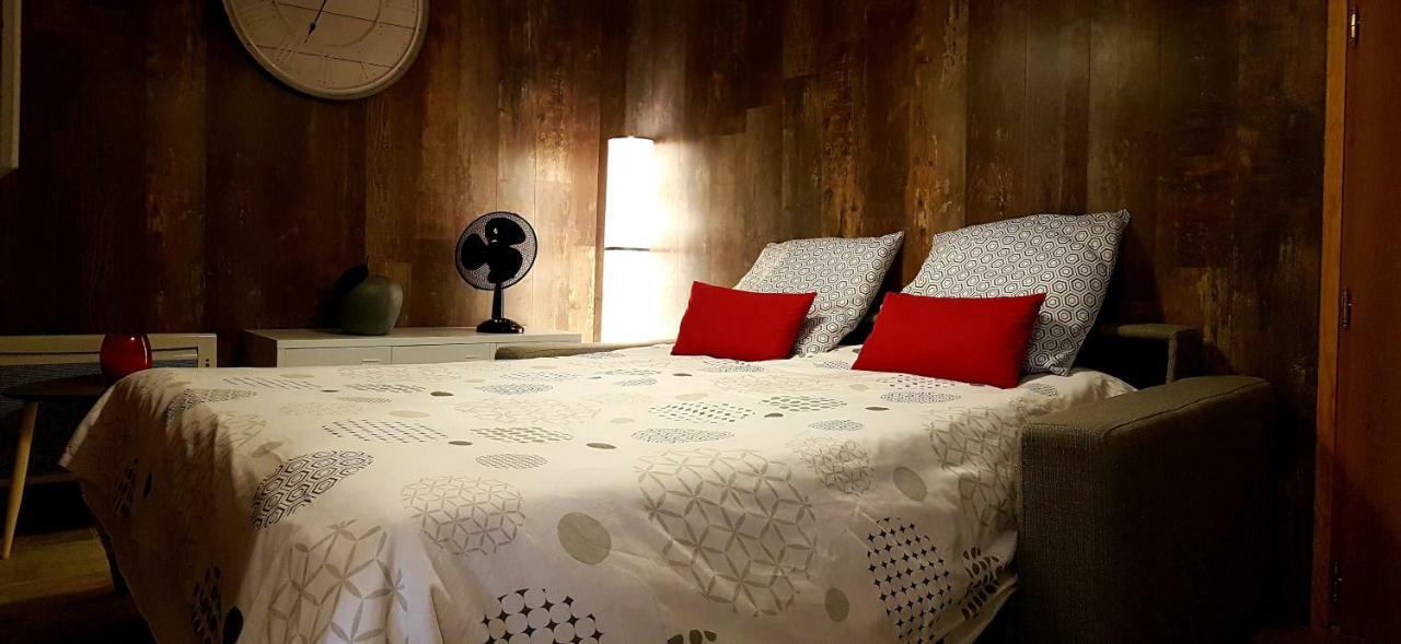 Les Nuits D'Anis - Appartements Hypercentre Le Puy-en-Velay Eksteriør bilde